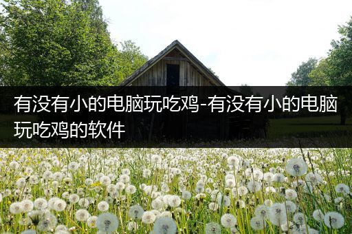 有没有小的电脑玩吃鸡-有没有小的电脑玩吃鸡的软件