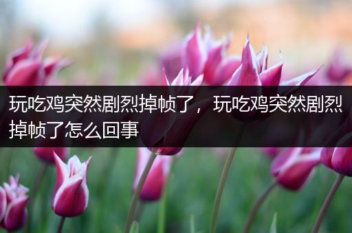 玩吃鸡突然剧烈掉帧了，玩吃鸡突然剧烈掉帧了怎么回事