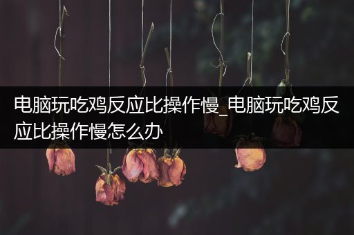 电脑玩吃鸡反应比操作慢_电脑玩吃鸡反应比操作慢怎么办