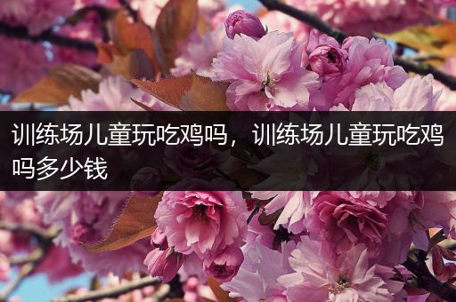训练场儿童玩吃鸡吗，训练场儿童玩吃鸡吗多少钱