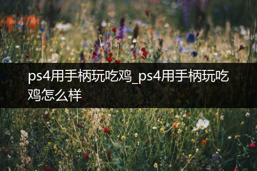 ps4用手柄玩吃鸡_ps4用手柄玩吃鸡怎么样