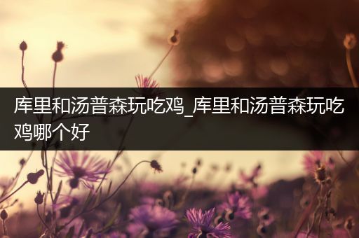 库里和汤普森玩吃鸡_库里和汤普森玩吃鸡哪个好