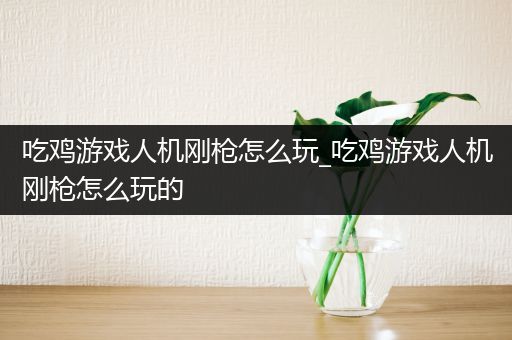 吃鸡游戏人机刚枪怎么玩_吃鸡游戏人机刚枪怎么玩的