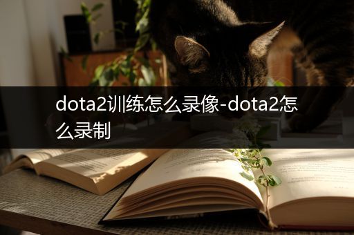 dota2训练怎么录像-dota2怎么录制