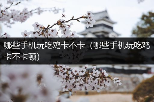 哪些手机玩吃鸡卡不卡（哪些手机玩吃鸡卡不卡顿）