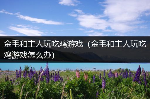 金毛和主人玩吃鸡游戏（金毛和主人玩吃鸡游戏怎么办）