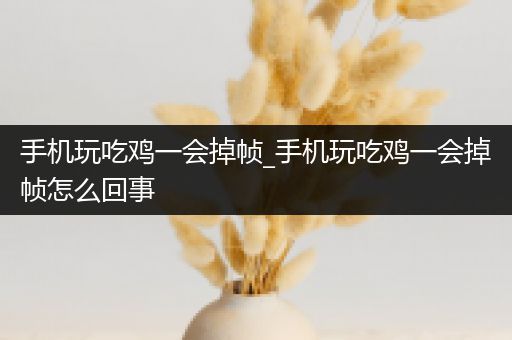手机玩吃鸡一会掉帧_手机玩吃鸡一会掉帧怎么回事