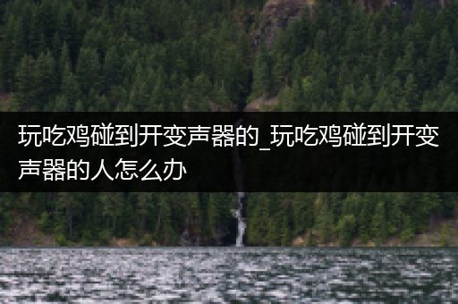 玩吃鸡碰到开变声器的_玩吃鸡碰到开变声器的人怎么办