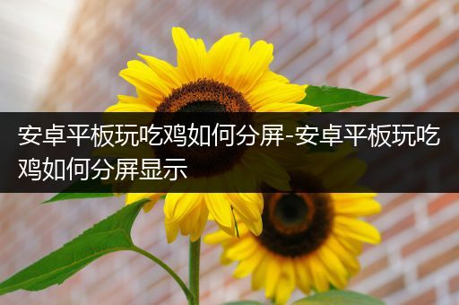 安卓平板玩吃鸡如何分屏-安卓平板玩吃鸡如何分屏显示