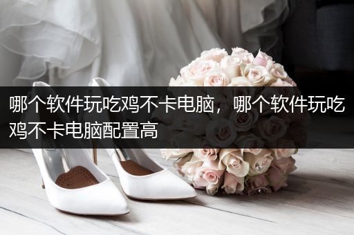 哪个软件玩吃鸡不卡电脑，哪个软件玩吃鸡不卡电脑配置高