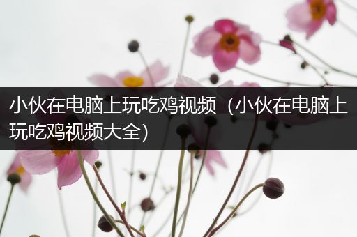 小伙在电脑上玩吃鸡视频（小伙在电脑上玩吃鸡视频大全）