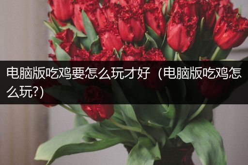 电脑版吃鸡要怎么玩才好（电脑版吃鸡怎么玩?）