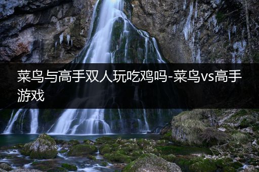 菜鸟与高手双人玩吃鸡吗-菜鸟vs高手游戏