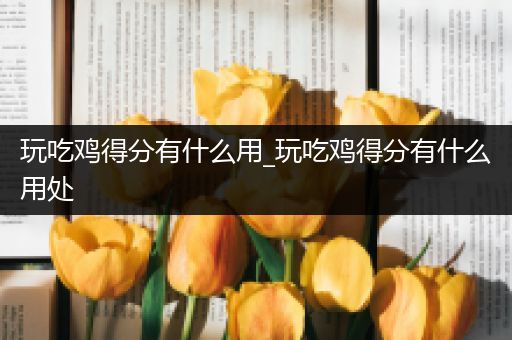 玩吃鸡得分有什么用_玩吃鸡得分有什么用处