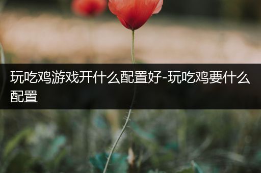 玩吃鸡游戏开什么配置好-玩吃鸡要什么配置