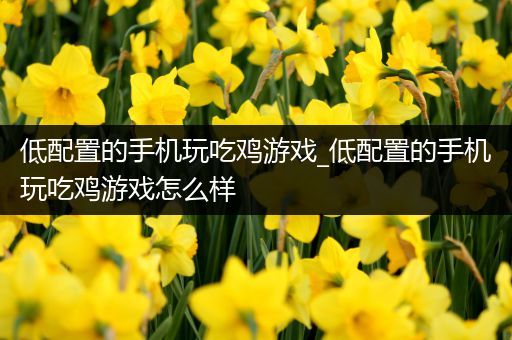 低配置的手机玩吃鸡游戏_低配置的手机玩吃鸡游戏怎么样