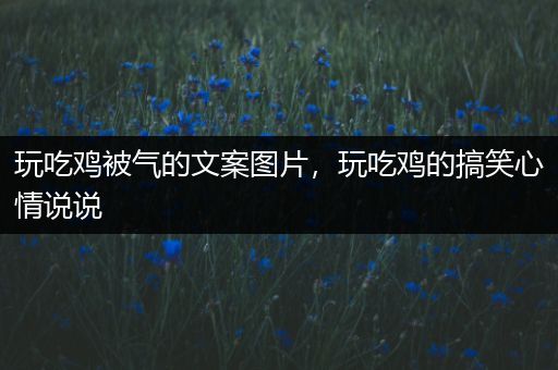 玩吃鸡被气的文案图片，玩吃鸡的搞笑心情说说
