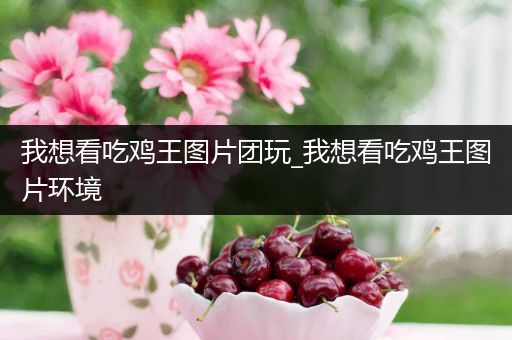 我想看吃鸡王图片团玩_我想看吃鸡王图片环境