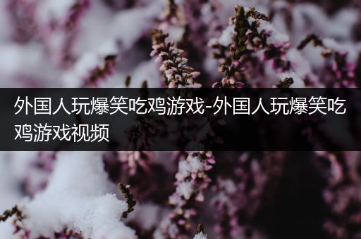外国人玩爆笑吃鸡游戏-外国人玩爆笑吃鸡游戏视频