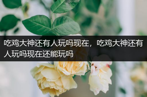 吃鸡大神还有人玩吗现在，吃鸡大神还有人玩吗现在还能玩吗