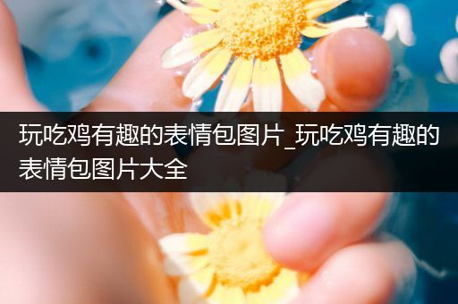 玩吃鸡有趣的表情包图片_玩吃鸡有趣的表情包图片大全