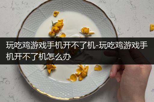 玩吃鸡游戏手机开不了机-玩吃鸡游戏手机开不了机怎么办