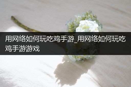用网络如何玩吃鸡手游_用网络如何玩吃鸡手游游戏