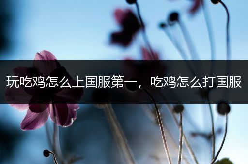 玩吃鸡怎么上国服第一，吃鸡怎么打国服