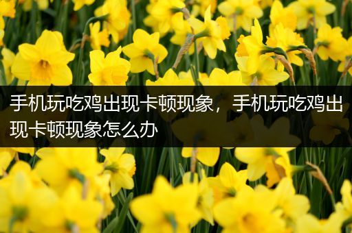 手机玩吃鸡出现卡顿现象，手机玩吃鸡出现卡顿现象怎么办