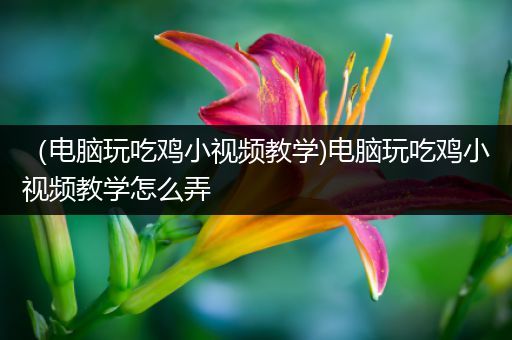 （电脑玩吃鸡小视频教学)电脑玩吃鸡小视频教学怎么弄