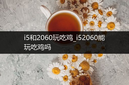 i5和2060玩吃鸡_i52060能玩吃鸡吗