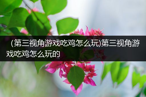 （第三视角游戏吃鸡怎么玩)第三视角游戏吃鸡怎么玩的