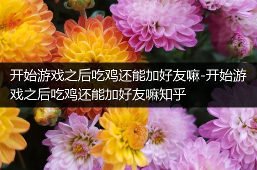 开始游戏之后吃鸡还能加好友嘛-开始游戏之后吃鸡还能加好友嘛知乎