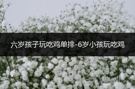六岁孩子玩吃鸡单排-6岁小孩玩吃鸡