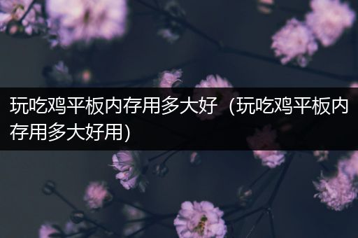 玩吃鸡平板内存用多大好（玩吃鸡平板内存用多大好用）