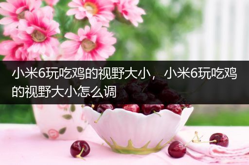 小米6玩吃鸡的视野大小，小米6玩吃鸡的视野大小怎么调