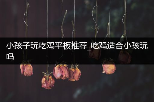 小孩子玩吃鸡平板推荐_吃鸡适合小孩玩吗