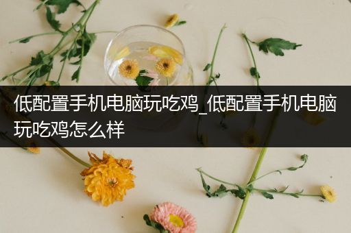 低配置手机电脑玩吃鸡_低配置手机电脑玩吃鸡怎么样