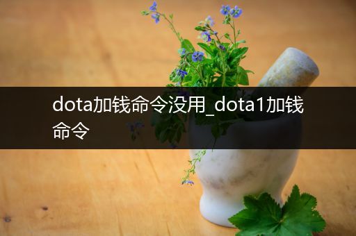 dota加钱命令没用_dota1加钱命令