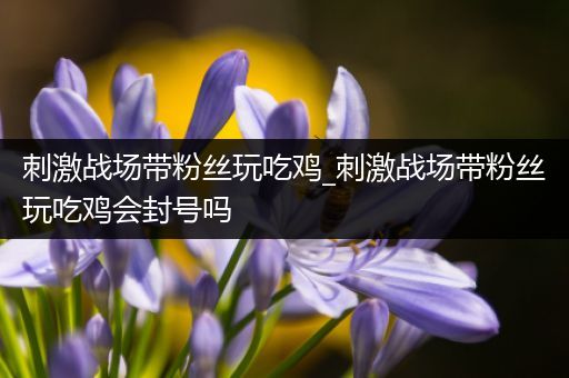 刺激战场带粉丝玩吃鸡_刺激战场带粉丝玩吃鸡会封号吗