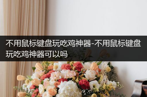 不用鼠标键盘玩吃鸡神器-不用鼠标键盘玩吃鸡神器可以吗
