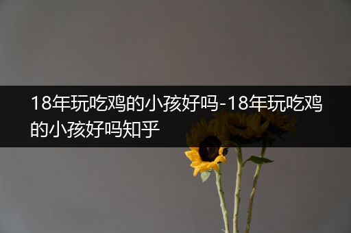 18年玩吃鸡的小孩好吗-18年玩吃鸡的小孩好吗知乎