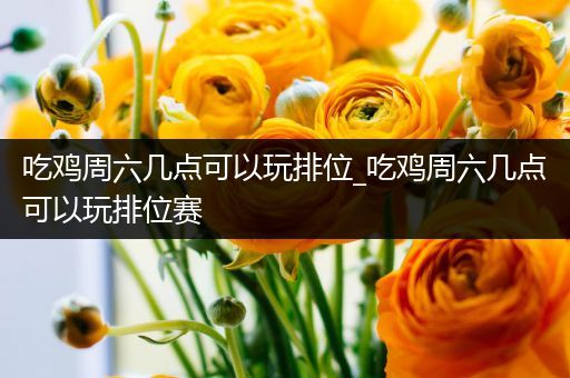吃鸡周六几点可以玩排位_吃鸡周六几点可以玩排位赛