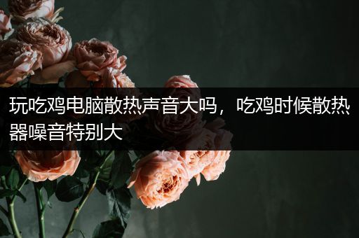 玩吃鸡电脑散热声音大吗，吃鸡时候散热器噪音特别大
