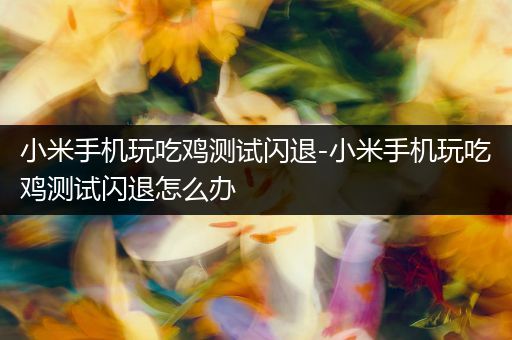 小米手机玩吃鸡测试闪退-小米手机玩吃鸡测试闪退怎么办