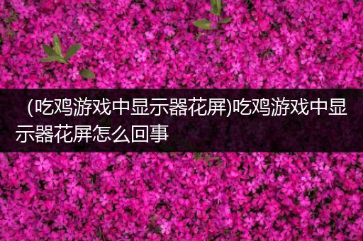 （吃鸡游戏中显示器花屏)吃鸡游戏中显示器花屏怎么回事
