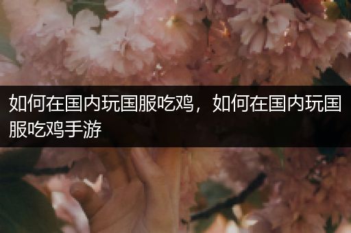 如何在国内玩国服吃鸡，如何在国内玩国服吃鸡手游