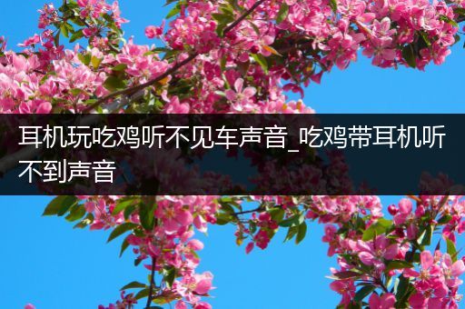 耳机玩吃鸡听不见车声音_吃鸡带耳机听不到声音