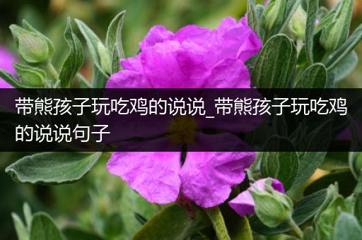 带熊孩子玩吃鸡的说说_带熊孩子玩吃鸡的说说句子