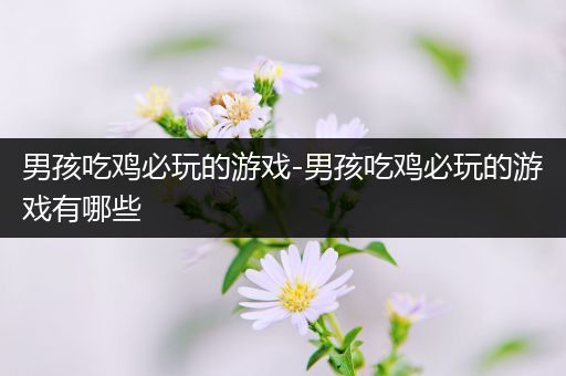 男孩吃鸡必玩的游戏-男孩吃鸡必玩的游戏有哪些
